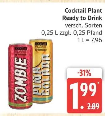 Marktkauf Cocktail plant zombie Angebot