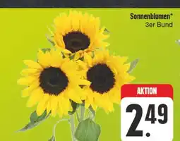 E-Center Sonnenblumen Angebot