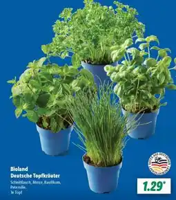 Lidl Bioland Deutsche Topfkräuter Angebot