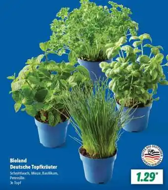 Lidl Bioland Deutsche Topfkräuter Angebot