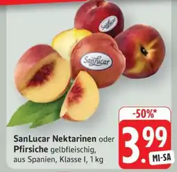 Edeka SanLucar Nektarinen oder Pfirsiche Angebot