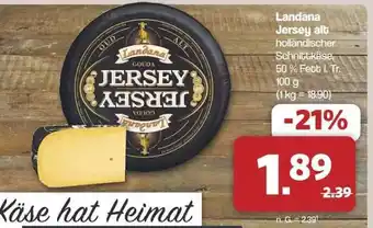 Famila Nord Ost Landana Jersey alt Angebot