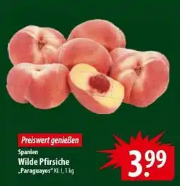 Famila Nord Ost Wilde Pfirsiche 'Paraguayos' Angebot