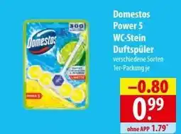 Famila Nord Ost Domestos Power 5 WC-Stein Duftspüler Angebot