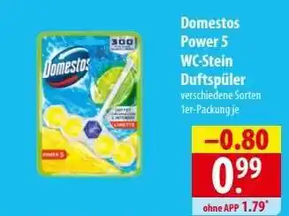 Famila Nord Ost Domestos Power 5 WC-Stein Duftspüler Angebot
