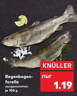 Kaufland Regenbogenforelle Angebot