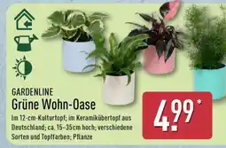 Aldi Nord GARDENLINE Grüne Wohn-Oase Angebot