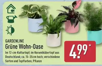 Aldi Nord GARDENLINE Grüne Wohn-Oase Angebot