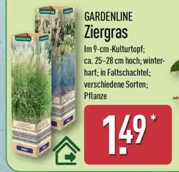 Aldi Nord GARDENLINE Ziergras Angebot