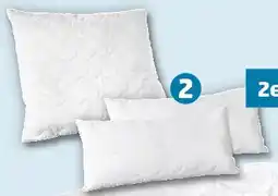 PENNY sleep and dream Kopfkissen Angebot