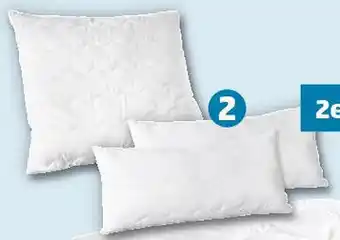 PENNY sleep and dream Kopfkissen Angebot