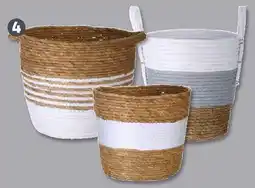 PENNY Deko-Typha-Korb Angebot