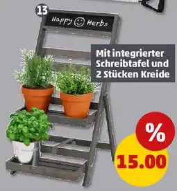 PENNY Pflanzentreppe Angebot
