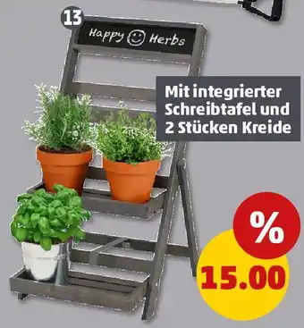 PENNY Pflanzentreppe Angebot