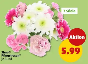 PENNY Strauß Pfingstrosen Angebot