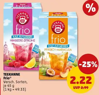 PENNY TEEKANNE Frio Angebot
