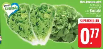 Edeka Mini-Romanasalat oder Kopfsalat Angebot