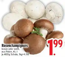 Edeka Riesenchampignons Angebot