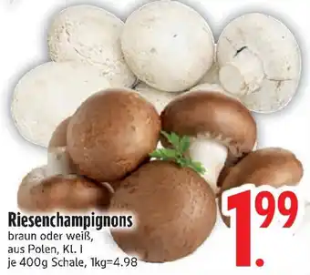 Edeka Riesenchampignons Angebot