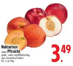 Edeka Nektarinen oder Pfirsiche Angebot