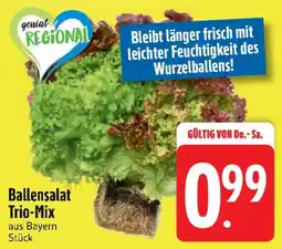 Edeka Ballensalat Trio-Mix Angebot