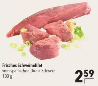 CITTI Markt Frisches Schweinefilet Angebot