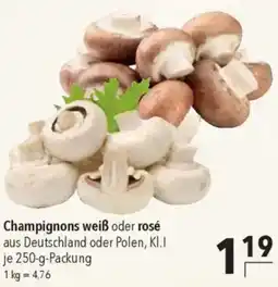 CITTI Markt Champignons weiß oder rosé Angebot