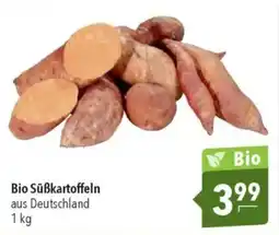 CITTI Markt Bio Süßkartoffeln Angebot