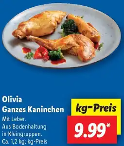 Lidl Olivia Ganzes Kaninchen Angebot