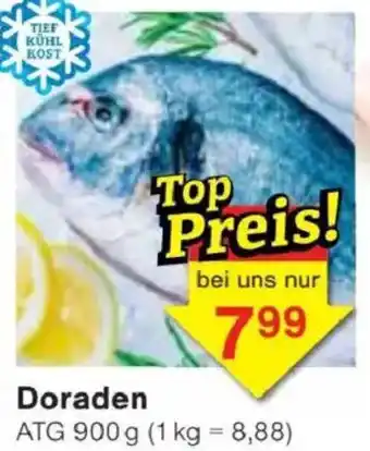 Jawoll Doraden Angebot