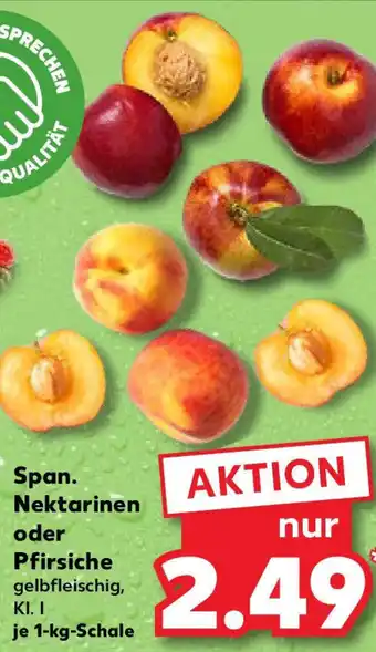 Kaufland Span. Nektarinen oder Pfirsiche Angebot