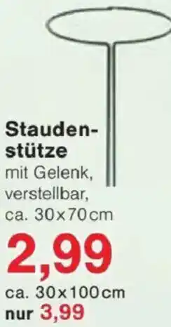 Jawoll Staudenstütze Angebot