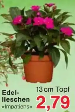 Jawoll Edellieschen Angebot