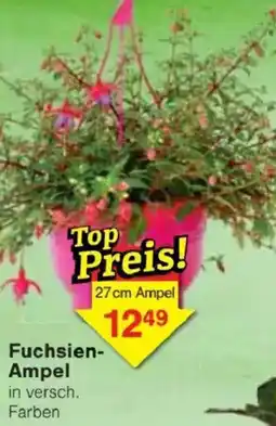 Jawoll Fuchsien Ampel Angebot