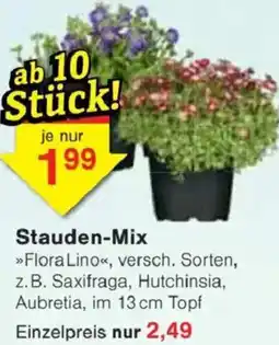 Jawoll Stauden-Mix Angebot