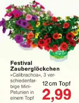 Jawoll Festival Zauberglöckchen Angebot