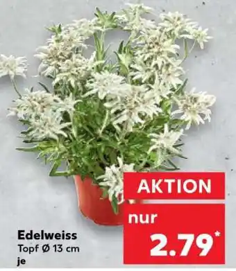 Kaufland Edelweiß Angebot
