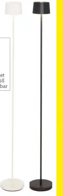 XXXLutz Dieter Knoll LED-Akku-Stehleuchte Angebot