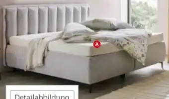 XXXLutz home24 Boxbett Angebot