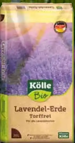 Pflanzen Kölle Kölle's Bio Lavendel-Erde Torffrei Angebot