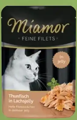 Pflanzen Kölle Miamor Feine Filets Angebot