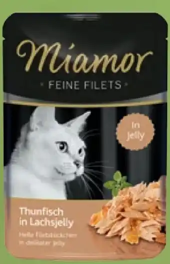 Pflanzen Kölle Miamor Feine Filets Angebot