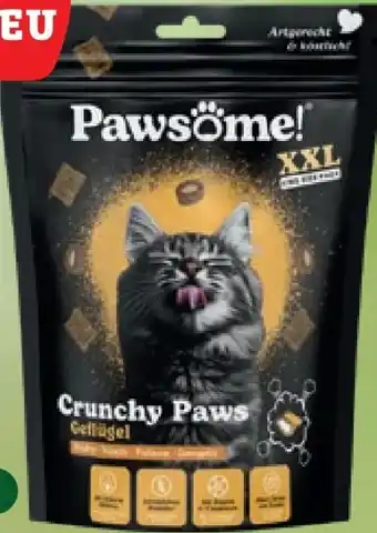 Pflanzen Kölle Pawsome Katzensnack Crunchy Paws Angebot
