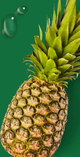 Aldi Nord Ananas Angebot