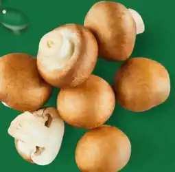 Aldi Nord Kulturchampignons Angebot