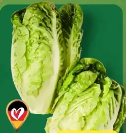 Aldi Nord Salatherzen Mini Romana Angebot