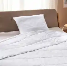 Aldi Nord Novitesse Sommer-Daunendecke Angebot
