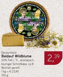 Dornseifer Baldauf Wildblume Angebot