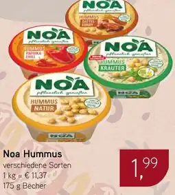 Dornseifer Noa Hummus Angebot