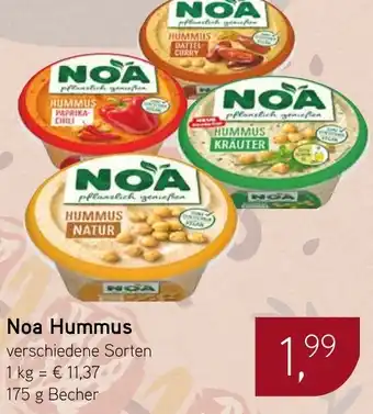 Dornseifer Noa Hummus Angebot